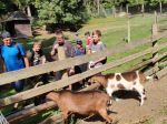 IMG-20250626-WA0024
